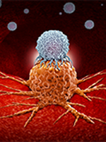 Rationale for PD-L1 Expression as a Biomarker in Immuno-Oncology